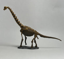 Cargar imagen en el visor de la galería, Brachiosaurus - Trading Figure - Miniature (028) - Cuchiwaii
