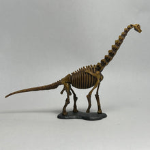 Cargar imagen en el visor de la galería, Brachiosaurus - Trading Figure - Miniature (028) - Cuchiwaii
