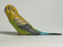 Cargar imagen en el visor de la galería, Budgerigar - Trading Figure - Miniature - 013 - Cuchiwaii
