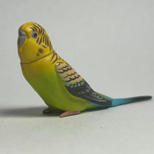 Cargar imagen en el visor de la galería, Budgerigar - Trading Figure - Miniature - 013 - Cuchiwaii

