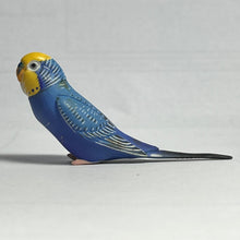 Cargar imagen en el visor de la galería, Budgerigar - Trading Figure - Miniature - 95 P08E - Cuchiwaii
