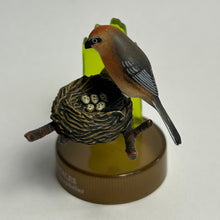 Load image into Gallery viewer, Bull-headed Shrike (Lanius bucephalus) - Mini Figure - Bottle Cap - Cuchiwaii

