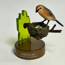 Load image into Gallery viewer, Bull-headed Shrike (Lanius bucephalus) - Mini Figure - Bottle Cap - Cuchiwaii
