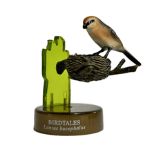 Load image into Gallery viewer, Bull-headed Shrike (Lanius bucephalus) - Mini Figure - Bottle Cap - Cuchiwaii
