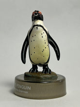 Cargar imagen en el visor de la galería, Cape Penguin - Trading Figure - Miniature - Cuchiwaii
