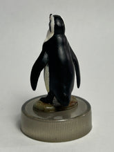 Cargar imagen en el visor de la galería, Cape Penguin - Trading Figure - Miniature - Cuchiwaii
