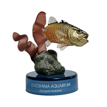 Cargar imagen en el visor de la galería, Carfinalfish / Apogon notatus - Trading Figure - Miniature - Cuchiwaii
