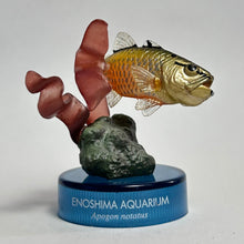 Cargar imagen en el visor de la galería, Carfinalfish / Apogon notatus - Trading Figure - Miniature - Cuchiwaii
