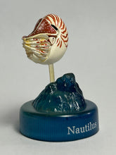 Cargar imagen en el visor de la galería, Chambered nautilus - Mini Figure - Bottle Cap - Cuchiwaii

