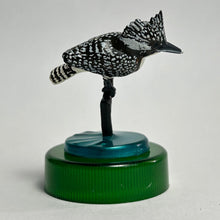 Load image into Gallery viewer, Crested kingfisher (Megaceryle lugubris) - Mini Figure - Bottle Cap - Cuchiwaii
