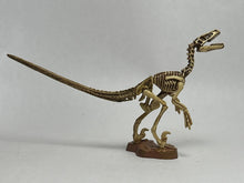 Load image into Gallery viewer, Deinonychus - Trading Figure - Miniature (050) - Cuchiwaii
