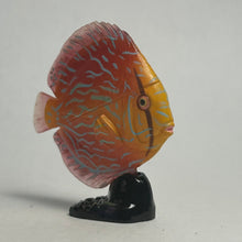 Load image into Gallery viewer, Discus (fish) - Trading Figure - Miniature - 062 P30-B - Cuchiwaii
