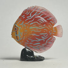 Load image into Gallery viewer, Discus (fish) - Trading Figure - Miniature - 062 P30-B - Cuchiwaii
