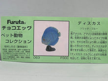 Load image into Gallery viewer, Discus (fish) - Trading Figure - Miniature - 063 P30-C - Cuchiwaii
