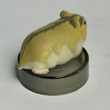 Load image into Gallery viewer, Dzungrian Hamster - Trading Figure - Miniature - No.16 - Cuchiwaii
