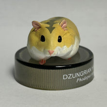 Load image into Gallery viewer, Dzungrian Hamster - Trading Figure - Miniature - No.16 - Cuchiwaii
