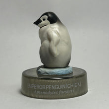 Load image into Gallery viewer, Emperor Penguin (Chick) - Trading Figure - Miniature - Cuchiwaii
