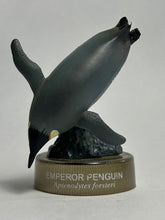 Load image into Gallery viewer, Emperor Penguin - Trading Figure - Miniature - Cuchiwaii
