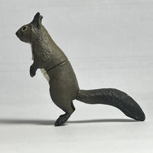 Load image into Gallery viewer, Ezo squirrel - Trading Figure - Miniature - 127 - Cuchiwaii
