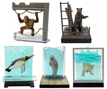 Load image into Gallery viewer, FamilyMart Asahiyama Zoo Animal Figure - Miniature (Set of 5) - Cuchiwaii
