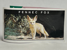 Load image into Gallery viewer, Fennec Fox - Trading Figure - Miniature - Cuchiwaii
