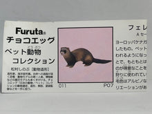 Load image into Gallery viewer, Ferret - Trading Figure - Miniature - 011 P07 - Cuchiwaii
