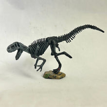 Cargar imagen en el visor de la galería, Fukuiraptor kitadaniensis - Trading Figure - Miniature (04) - Cuchiwaii
