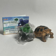 Cargar imagen en el visor de la galería, Galapagos Tortoise - Trading Figure - Minifigure - Cuchiwaii
