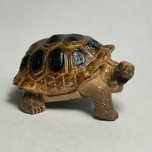 Cargar imagen en el visor de la galería, Galapagos Tortoise - Trading Figure - Minifigure - Cuchiwaii
