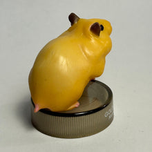 Cargar imagen en el visor de la galería, Golden Hamster - Figure - Bottle Cap - Apricot (02) - Cuchiwaii
