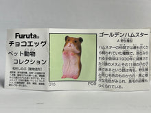 Load image into Gallery viewer, Golden Hamster - Trading Figure - Miniature - 016 P09 - Cuchiwaii
