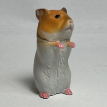 Load image into Gallery viewer, Golden Hamster - Trading Figure - Miniature - 017 P09-B - Cuchiwaii
