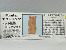 Cargar imagen en el visor de la galería, Golden Hamster - Trading Figure - Miniature - 018 P09-C - Cuchiwaii
