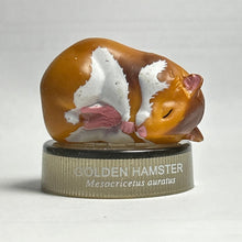 Load image into Gallery viewer, Golden Hamster - Trading Figure - Miniature - No.03 - Cuchiwaii
