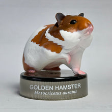 Load image into Gallery viewer, Golden Hamster - Trading Figure - Miniature - No.1 - Cuchiwaii

