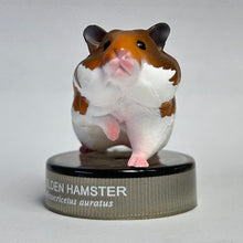 Load image into Gallery viewer, Golden Hamster - Trading Figure - Miniature - No.1 - Cuchiwaii
