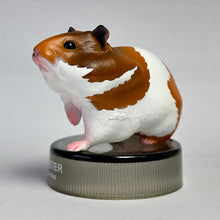 Load image into Gallery viewer, Golden Hamster - Trading Figure - Miniature - No.1 - Cuchiwaii
