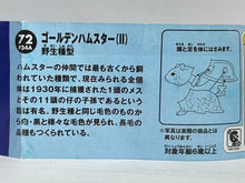 Load image into Gallery viewer, Golden Hanster (II) - Trading Figure - Miniature - 72 P34A - Cuchiwaii
