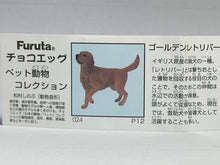 Load image into Gallery viewer, Golden Retriever - Trading Figure - Miniature - 024 P12 - Cuchiwaii
