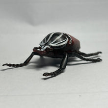 Load image into Gallery viewer, Goliath beetle - Trading Figure - Miniature (26) - Cuchiwaii
