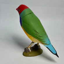 Load image into Gallery viewer, Gouldian Finch (Red) - Trading Figure - Miniature - 042 P22-A - Cuchiwaii
