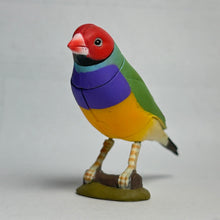 Load image into Gallery viewer, Gouldian Finch (Red) - Trading Figure - Miniature - 042 P22-A - Cuchiwaii
