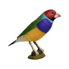 Load image into Gallery viewer, Gouldian Finch (Red) - Trading Figure - Miniature - 042 P22-A - Cuchiwaii
