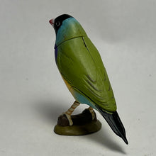 Cargar imagen en el visor de la galería, Gouldian Finch - Trading Figure - Miniature - 043 P22-B - Cuchiwaii
