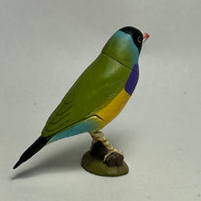 Cargar imagen en el visor de la galería, Gouldian Finch - Trading Figure - Miniature - 043 P22-B - Cuchiwaii
