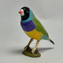 Cargar imagen en el visor de la galería, Gouldian Finch - Trading Figure - Miniature - 043 P22-B - Cuchiwaii

