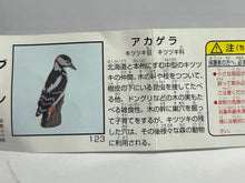 Load image into Gallery viewer, Great spotted woodpecker - Trading Figure - Miniature (123) - Cuchiwaii
