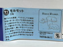 Load image into Gallery viewer, Guinea Pig - Trading Figure - Miniature - 91 P43A - Cuchiwaii

