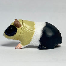 Load image into Gallery viewer, Guinea Pig - Trading Figure - Miniature - 91 P43A - Cuchiwaii
