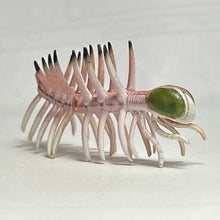 Cargar imagen en el visor de la galería, Hallucigenia - Trading Figure - Miniature (068) - Cuchiwaii
